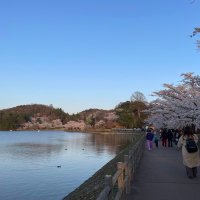 あ (@kllo0997) 's Twitter Profile
