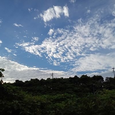 god6312's profile picture. 