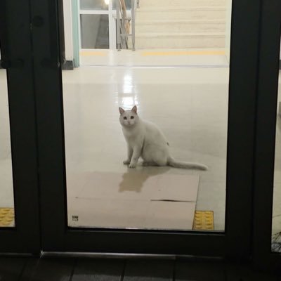 DegenOcto's profile picture. $LFG