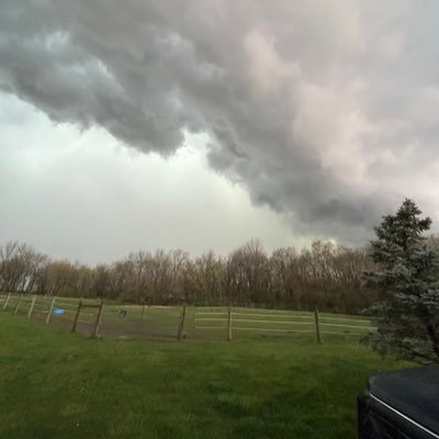 beeshizzle's profile picture. just a guy