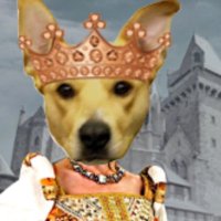 Da Rescued Queendom(@QueenVLM) 's Twitter Profile Photo