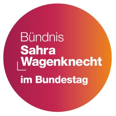 BSW Gruppe im Bundestag Profile