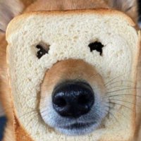 わんパラ(Twitch) (@wanwanparadice7) 's Twitter Profile Photo わんパラ(Twitch) (@wanwanparadice7) 's Twitter Profile Photo