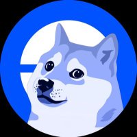 Doge on Base(@Doge_on_base_) 's Twitter Profile Photo