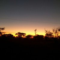 nyarshajs✌️ (@nyarshajs) 's Twitter Profile