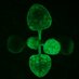 Fischer Lab Prague (@fischerlab210) Twitter profile photo Fischer Lab Prague (@fischerlab210) Twitter profile photo
