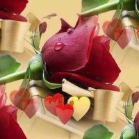 İbrahim Gür (@ig_4402) 's Twitter Profile