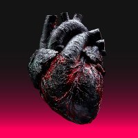 @IncrEMentUM (@incrementum2025) 's Twitter Profile Photo @IncrEMentUM (@incrementum2025) 's Twitter Profile Photo