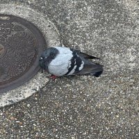 felt. (@felt_create) 's Twitter Profile