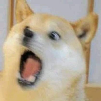 PipopiCrypto's profile picture. meme coins are gonna make me rich. WAGMI