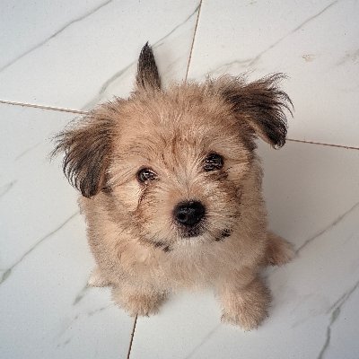 User272125's profile picture. 