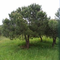 Kitap Sayfası (@kitaptabossayfa) 's Twitter Profile Photo Kitap Sayfası (@kitaptabossayfa) 's Twitter Profile Photo