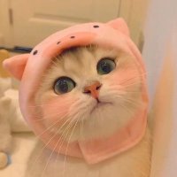 钮钴璐 (@holauonly2) 's Twitter Profile