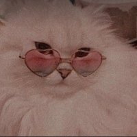 ana (@baemegg) 's Twitter Profile