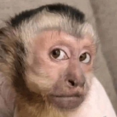 ceciliarodrigx's profile picture. Doce, dengosa, polida