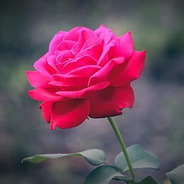 I an outgoing, cheerful outgoing who draw admiration and admiration from everyone who comes into touch with me.