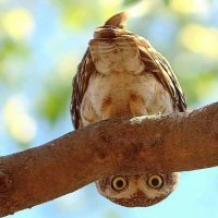 ТатьянаKZ (@0nczbexsskebucg) 's Twitter Profile Photo