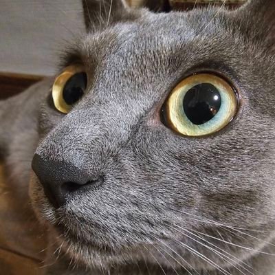 どこかのメンエス店のテンチョです🤣
誰にも気にする事なく思った事を自由に発言、毒も吐きま〜す🤣🤣