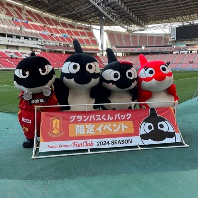 スポーツカード集めてます！！サッカーとバスケを主に 藤井陽也,グランパス(1,14,17,77)とドルフィンズ(2,12,34,60)のファン ドラゴンズも気になってます。