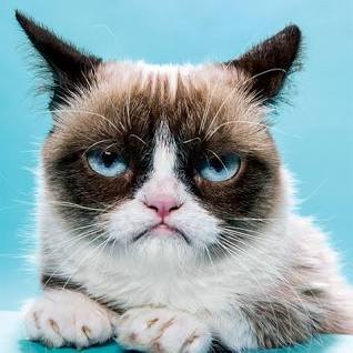 Faroche3's profile picture. 