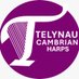 Telynau Cambrian Harps (@cambrianharps) Twitter profile photo