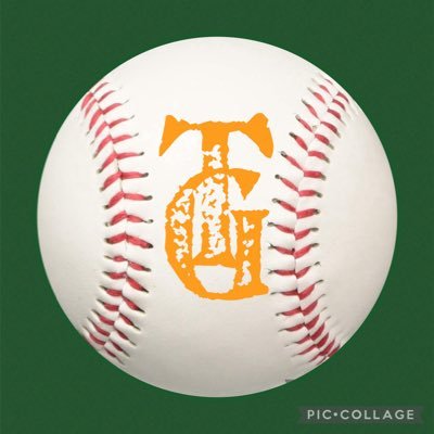 ⚾️専用🔸G党🔸矢野謙次（殿堂入り👑）/吉川尚輝/小林誠司/グリフィンetc守備が上手い&熱い選手に萌える傾向があります…が、基本みんなを応援しています！現場は月1〜2程度ですがとにかく野球が好き！無言いいね&フォローお許し下さい🙇‍♀️こちらのフォローはお気軽にどうぞ👍