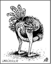 ol_punk's profile picture. Свободный художник, созерцающий Мир с высоты своего сознания...