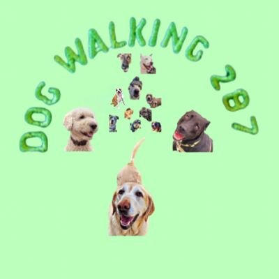 self-proclaimed 🌏 best dog walker 🐶🤘 ----

insta: matt_doggos207 

♡