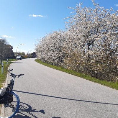 « J’essaie de ne pas vivre en contradiction avec les idées que je ne défends pas » Monsieur Cyclopède