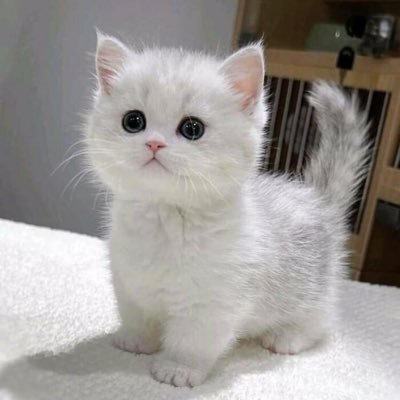 spack154's profile picture. Don't let anyone ever make you feel like you don't deserve what you want ....