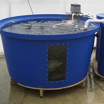 OloriEbi73's profile picture. a very good And cool guy