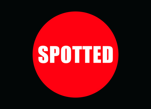 ModelSpot's profile picture. Lights. Camera....Model!