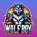 Wolfboy Gaming Den He/Him 🕹️ 🏳️‍🌈 🐺 (@wolfboygaming23) Twitter profile photo