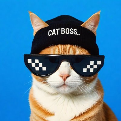 Cat boss on Base