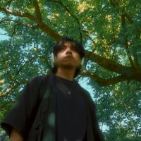 Vinh Dang (@danggvinh) 's Twitter Profile