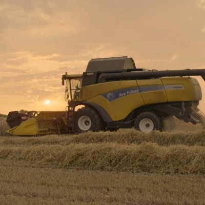 UK Farmer trying to figure out the best time to sell grain