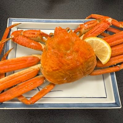 neck__s__'s profile picture. 