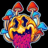 Psychedelics And Mushroom(@Psychedelics122) 's Twitter Profile Photo