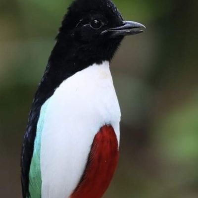 RadioTyl's profile picture. Los filósofos no han hecho sino interpretar el mundo. Lo que hace falta, es transformarlo.