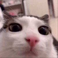 Akionsee ~ (@_akionsee) 's Twitter Profile