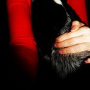 sarah bergstrom - @LutziiiB - Twitter