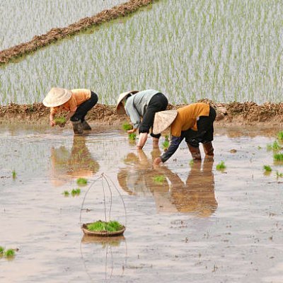 Giới hạn hàm số là lim. Giới hạn của tớ là tim cậu nè.