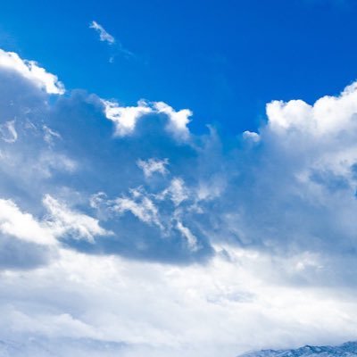 0445sironeko's profile picture. 現実逃避が止まらねぇ社会人。社会不適合者だなぁと実感中。FGO:ペーパームーンまで駆け抜けてムーンドバイ終わった！イドはまだ かなり雑食 ゼルダの伝説ブレスオブザワイルド武器狩り楽しすぎて進まない勢 パルデアはお散歩コース