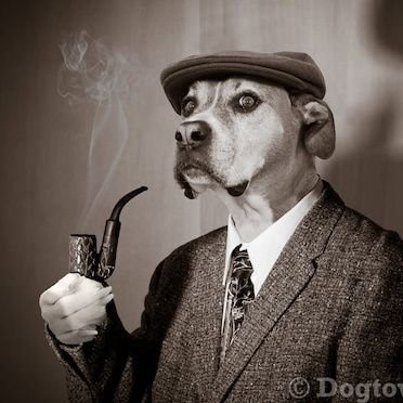 nacholibre360's profile picture. Follow the crums, follow the sprinkles, follow the wrappers