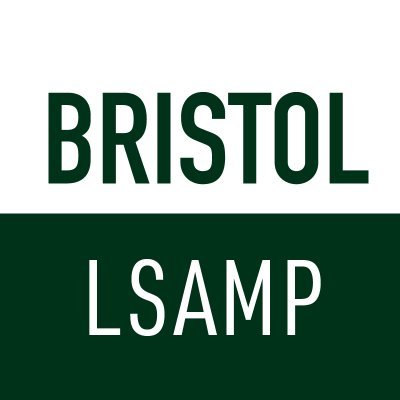 LSAMP STEM students at Bristol Community College