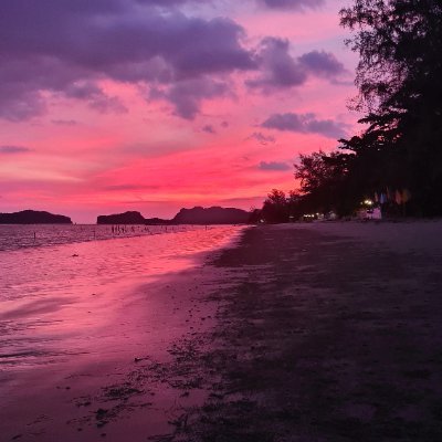 ellewong's profile picture. 