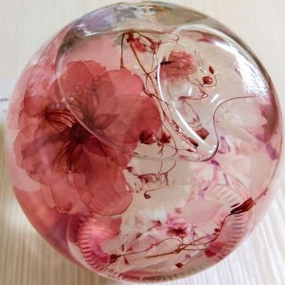 cerise🥧さんのプロフィール画像