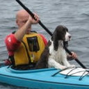 Ray O'Donnell - @RayODonnell1 - Twitter