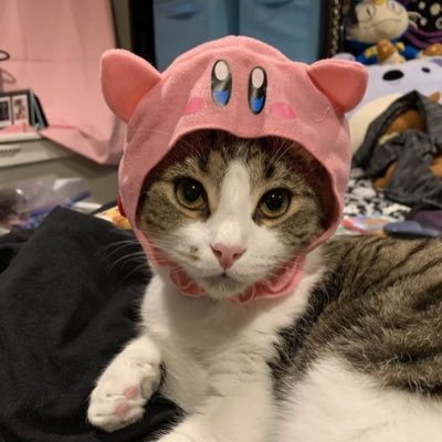 Purrby The Kirby Cat
Website: https://t.co/O2dQolADJC
Telegram: https://t.co/MjdJARq9ZC
CA: GWuL5xs8kDVQUZ7FtPDAqSqtiwZcTzvzfCbYJiNfLrm4