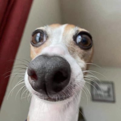 FartyMcFat's profile picture. 